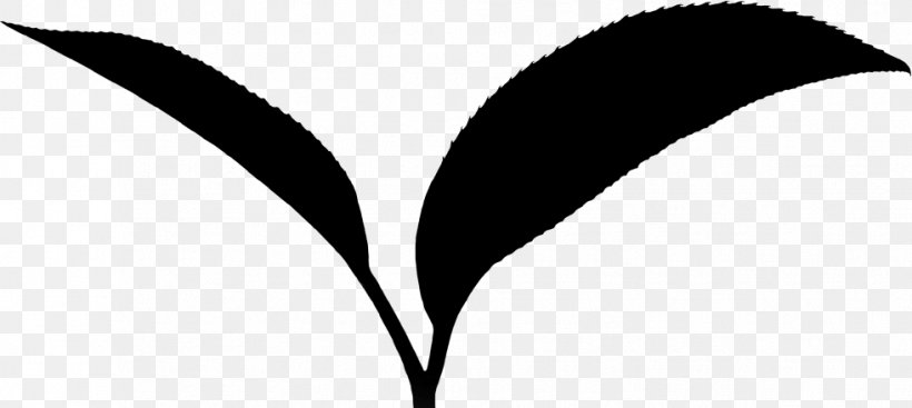 Leaf Plant Stem Line Clip Art Flowering Plant, PNG, 981x440px, Leaf, Black M, Blackandwhite, Botany, Branching Download Free