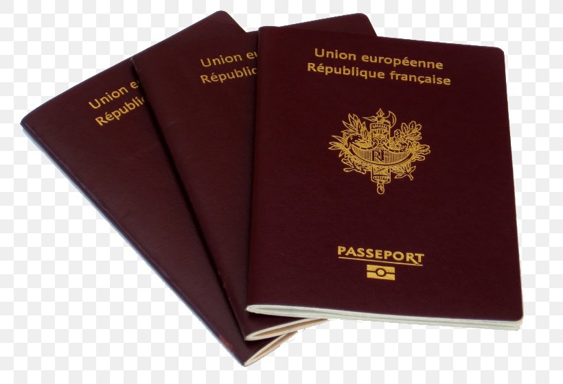 Portuguese Passport Aerosol Spray Travel Citizenship, PNG, 800x560px, Passport, Aerosol Paint, Aerosol Spray, Chinese Passport, Citizenship Download Free