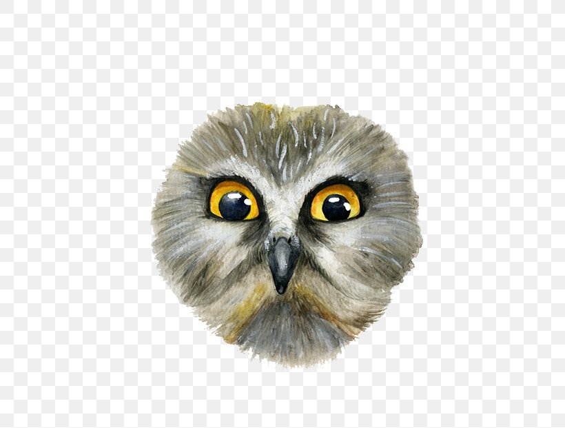 Snowy Owl Eurasian Eagle-owl Eurasian Scops Owl, PNG, 600x621px, Owl, Beak, Bird, Bird Of Prey, Boreal Owl Download Free