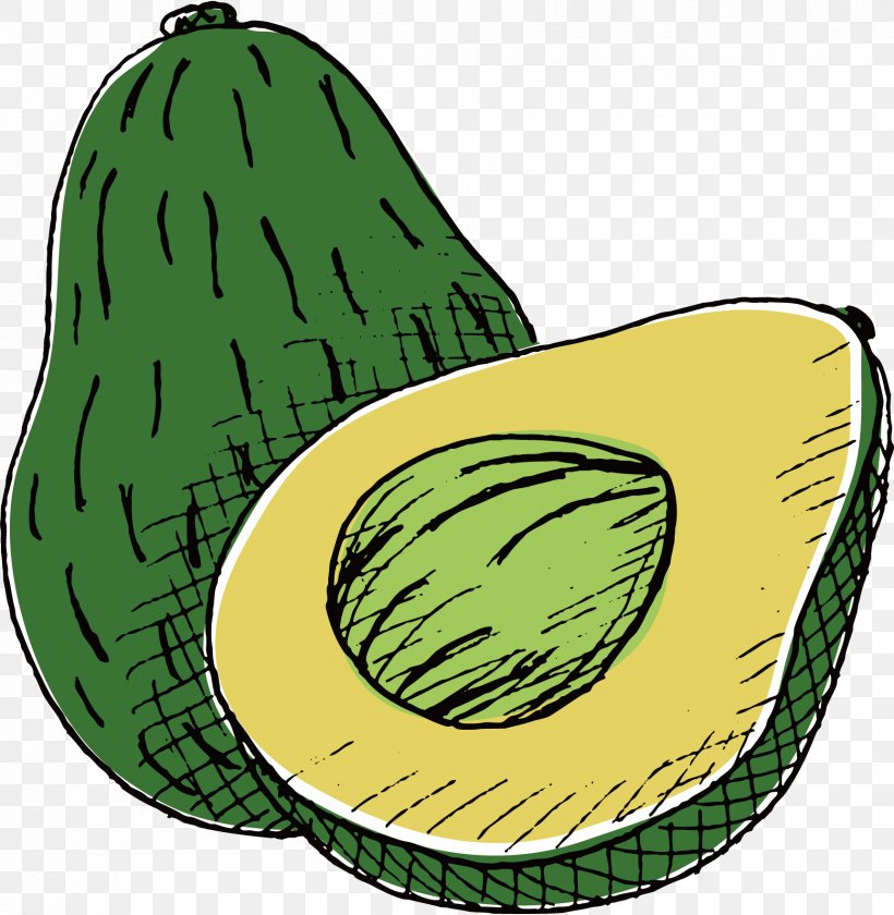 Avocado Drawing, PNG, 1724x1768px, Avocado, Auglis, Cucumber Gourd And Melon Family, Diagram, Drawing Download Free
