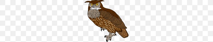 Great Horned Owl Bird Of Prey Clip Art, PNG, 170x163px, Owl, Barred Owl, Beak, Bird, Bird Of Prey Download Free