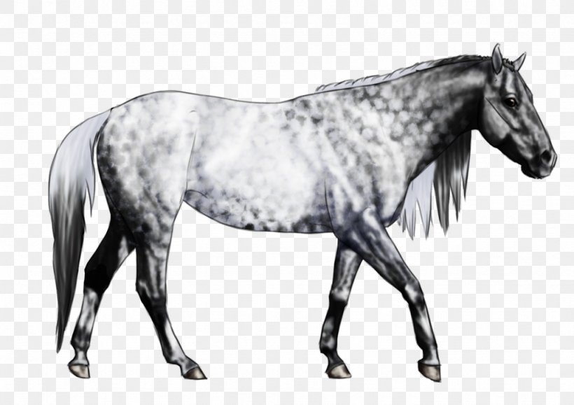 Mane Mustang Stallion Mare Rein, PNG, 1024x724px, Mane, Bit, Black And White, Bridle, Halter Download Free
