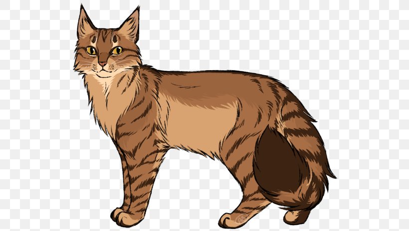 Maine Coon Manx Cat Whiskers Tabby Cat Somali Cat, PNG, 540x464px, Maine Coon, American Bobtail, American Wirehair, Asian, Canidae Download Free