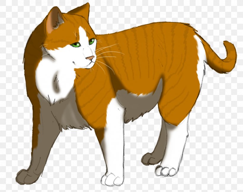Cat Whiskers Warriors Billystorm SkyClan's Destiny, PNG, 900x711px, Cat, Animation, Art, Billystorm, Carnivore Download Free