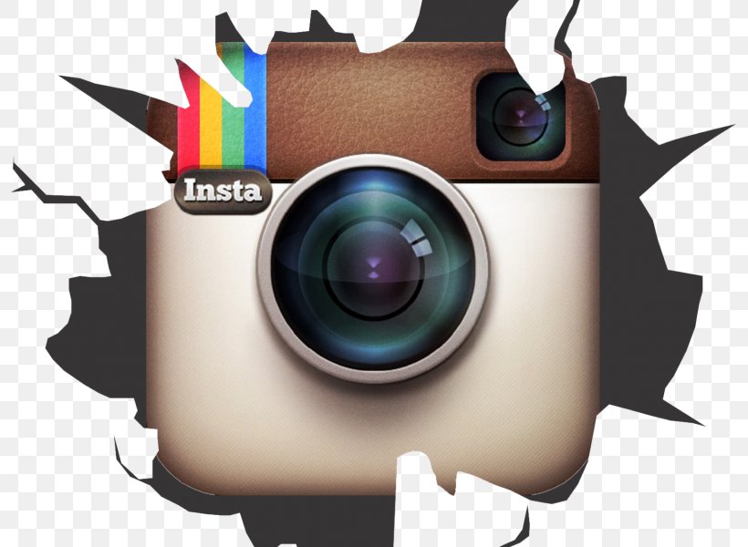 Clip Art Logo Instagram Image, PNG, 800x600px, Watercolor, Cartoon, Flower, Frame, Heart Download Free