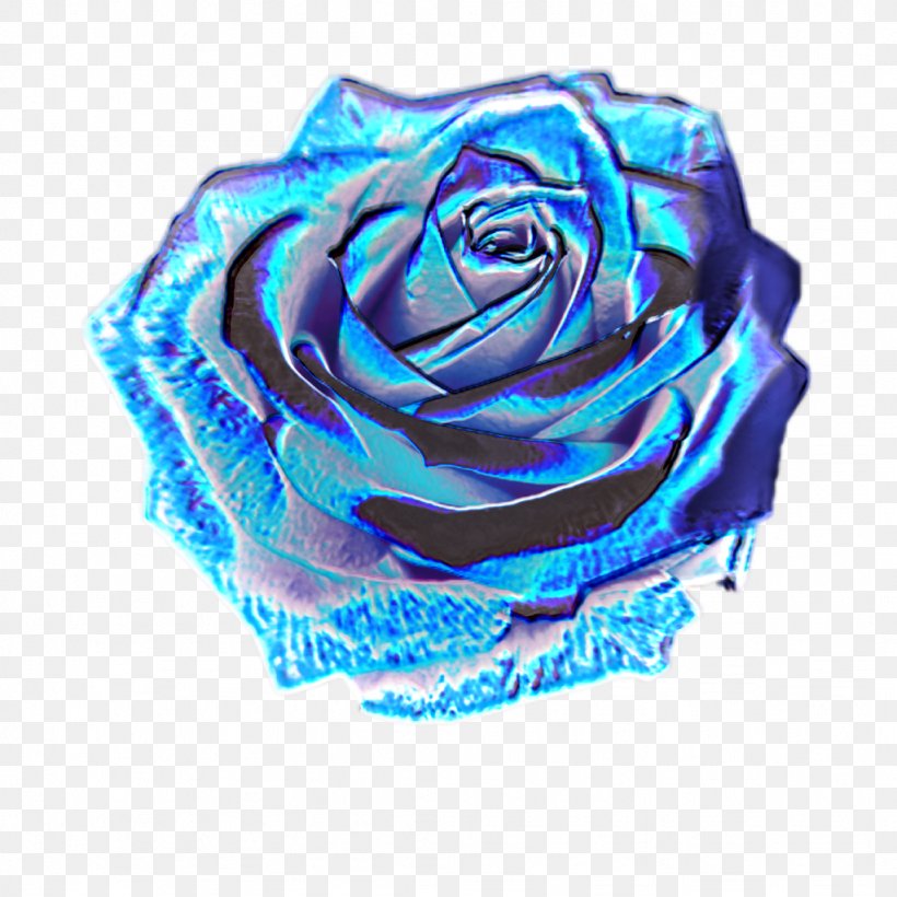 Garden Roses Image Holography, PNG, 1024x1024px, Garden Roses, Aesthetics, Blue, Blue Rose, Cobalt Blue Download Free