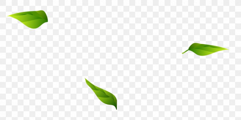 Green Leaf Angle Pattern, PNG, 1200x600px, Green, Branch, Leaf Download Free