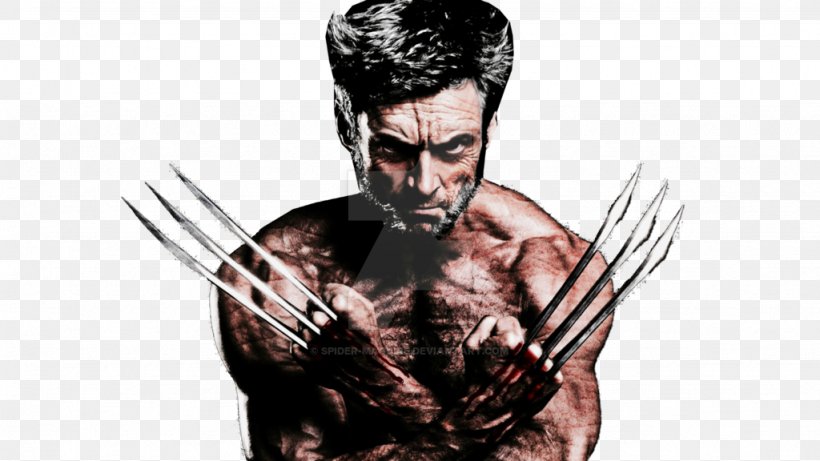 Wolverine Storm X-Men Film Superhero Movie, PNG, 1024x576px, Wolverine, Actor, Beard, Facial Hair, Fictional Character Download Free