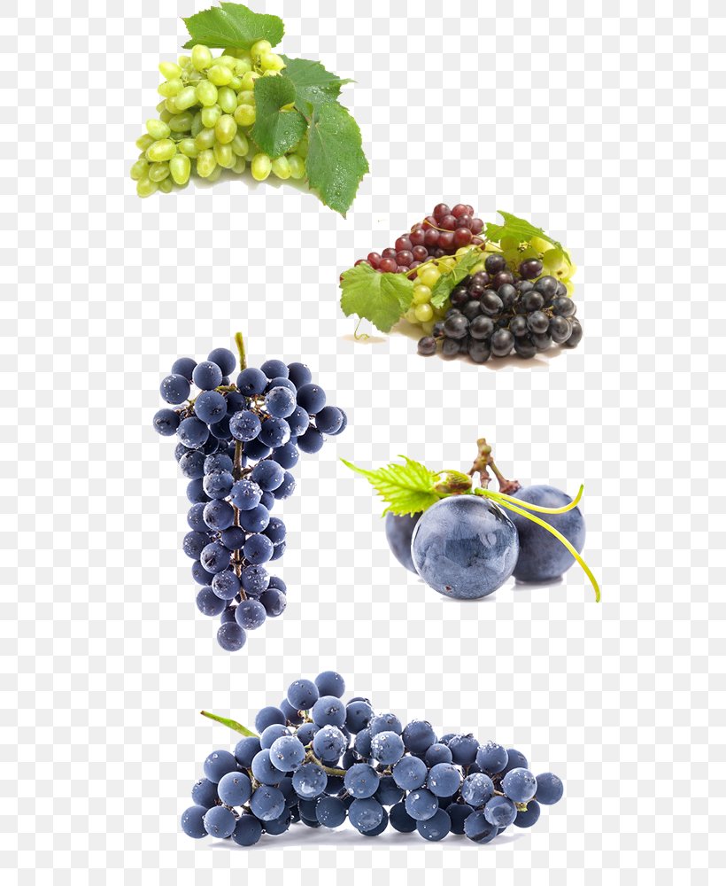 Beer Wine Grape Homebrewing, PNG, 600x1000px, Beer, Bilberry, Blueberry, Brewing, Filtration Download Free