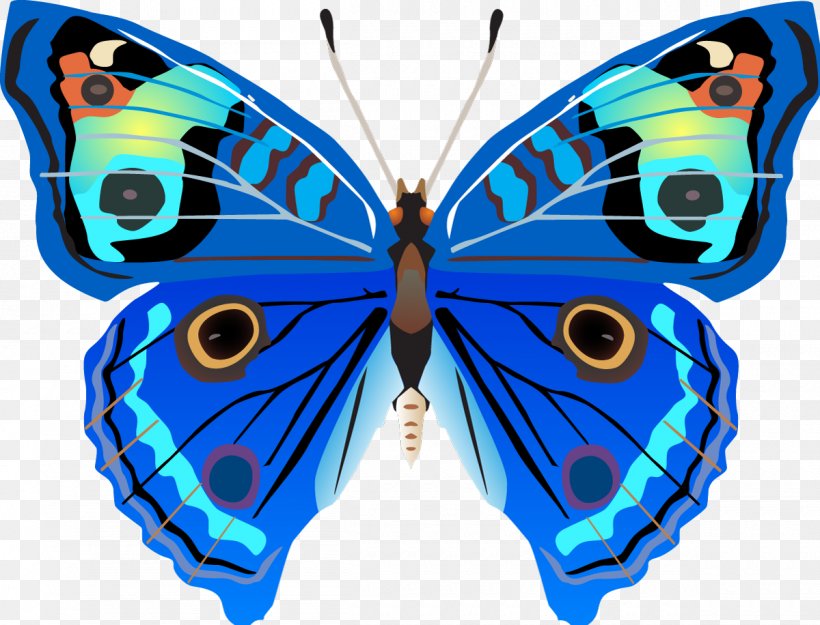 Butterfly Drawing Clip Art, PNG, 1200x916px, Butterfly, Art, Arthropod, Brush Footed Butterfly, Butterfly Net Download Free