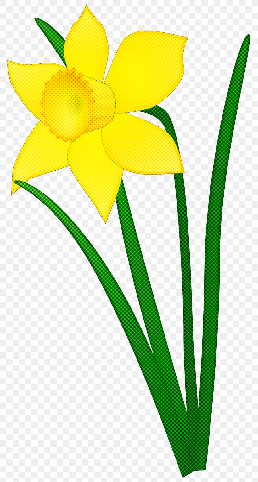 Floral Design, PNG, 1979x3699px, Daffodil, Amaryllidaceae, Amaryllis, Cut Flowers, Floral Design Download Free