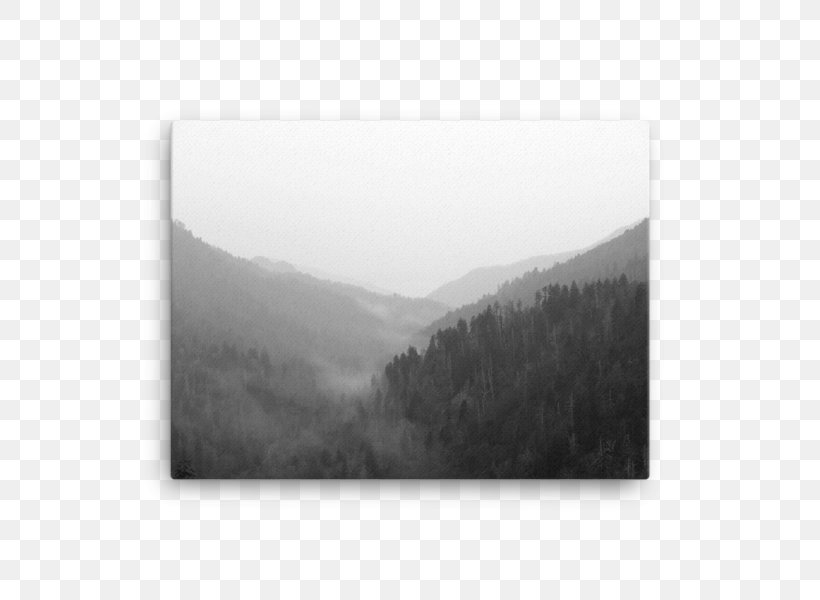 Rectangle Sky Plc, PNG, 600x600px, Rectangle, Black And White, Fog, Landscape, Mist Download Free