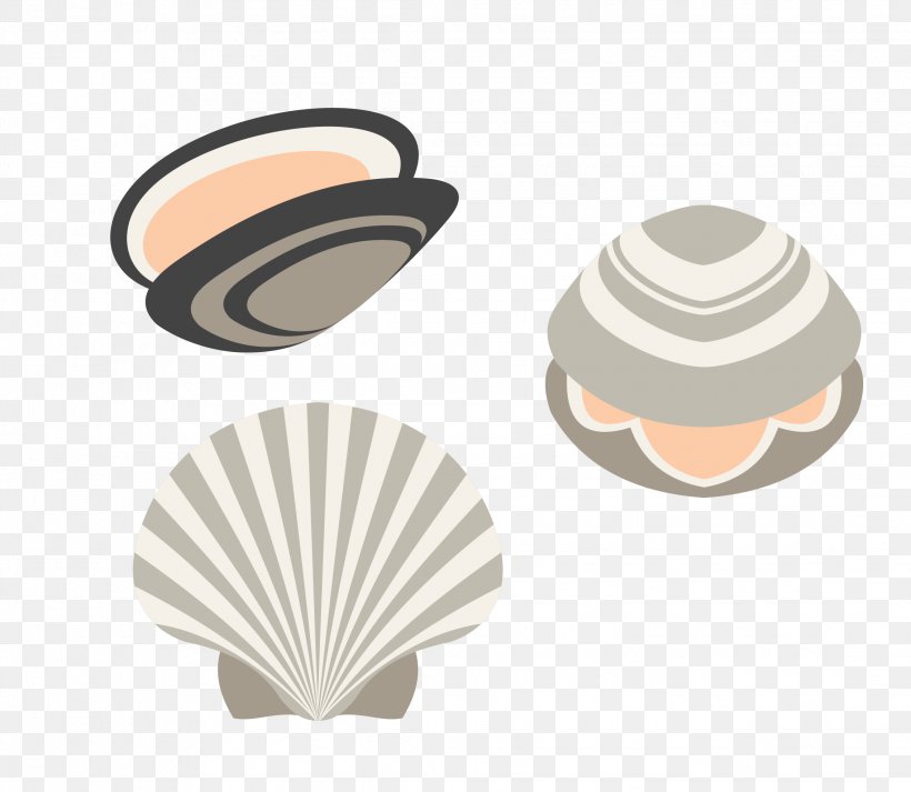 Seashell Euclidean Vector, PNG, 2269x1975px, Seashell, Cup, Element, Marine Biology, Mollusc Shell Download Free