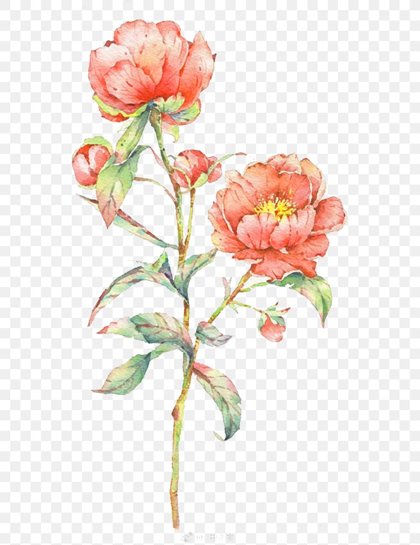 Watercolour Flowers Watercolor: Flowers Watercolor Painting, PNG, 658x1063px, Watercolour Flowers, Artificial Flower, Cartoon, Centifolia Roses, Croquis Download Free