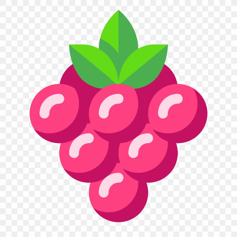 Berry, PNG, 1600x1600px, Berry, Flower, Food, Fruit, Grape Download Free