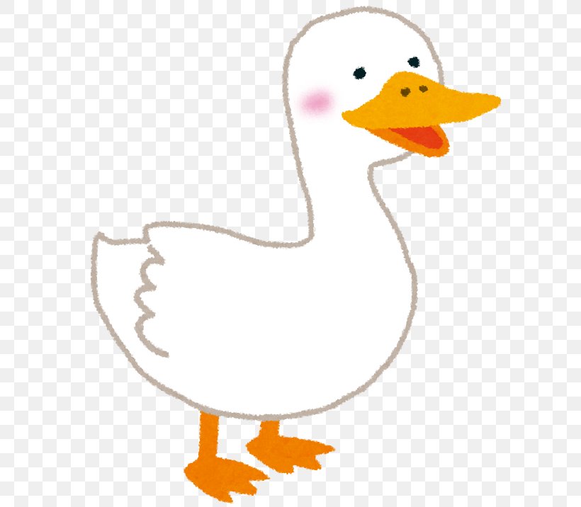 Domestic Duck Subaru BRZ Foie Gras Domestic Goose, PNG, 644x716px, Domestic Duck, Animal Figure, Beak, Bird, Chicken Download Free