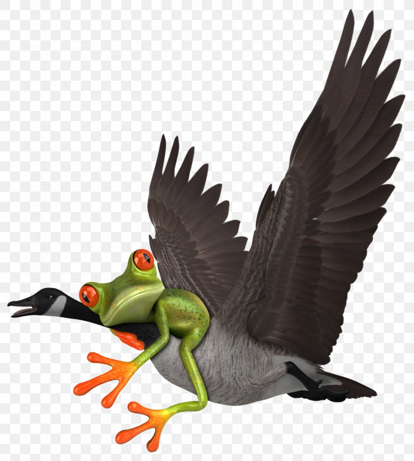 Duck Goose 3D Modeling TurboSquid Animation, PNG, 1157x1290px, 3d Computer Graphics, 3d Modeling, Duck, Amphibian, Animation Download Free