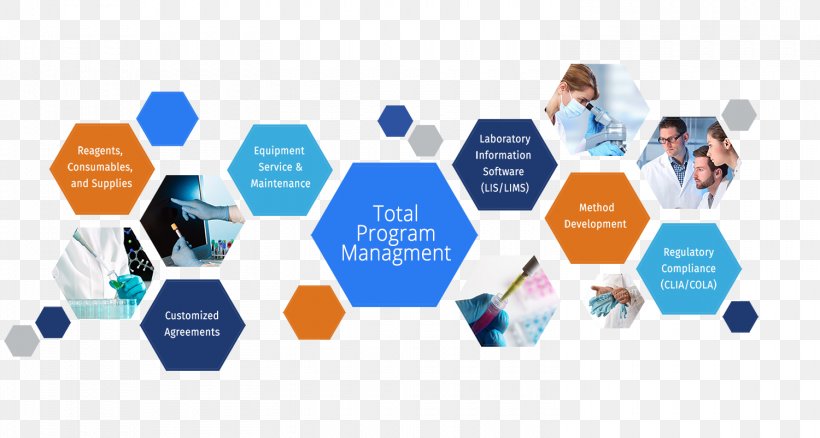 Program Management Business Laboratory Information Management System Project Management, PNG, 1500x803px, Program Management, Brand, Business, Business Consultant, Collaboration Download Free