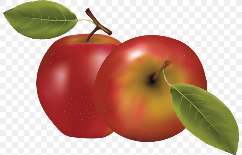 Apple Clip Art, PNG, 800x525px, Apple, Accessory Fruit, Acerola, Acerola Family, Diet Food Download Free