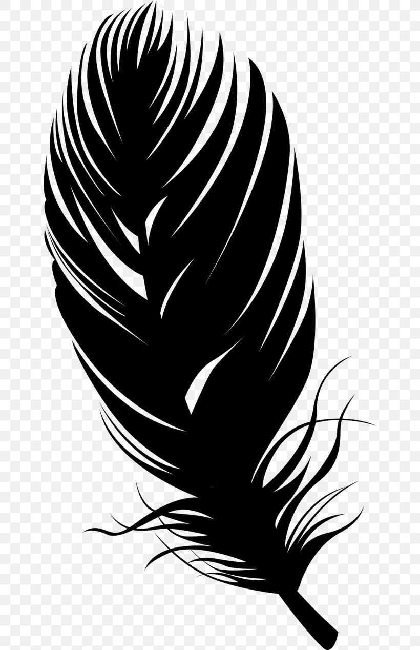 Bird Feather Silhouette, PNG, 650x1268px, Bird, Black And White, Feather, Flowering Plant, Illustrator Download Free
