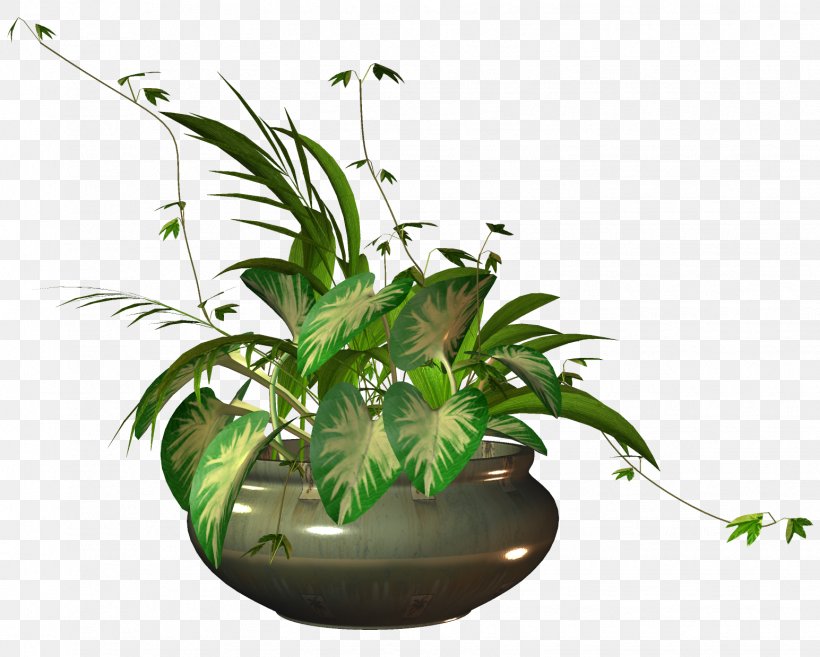 Flowerpot Houseplant, PNG, 1545x1239px, Flowerpot, Flower, Garden, Houseplant, Leaf Download Free