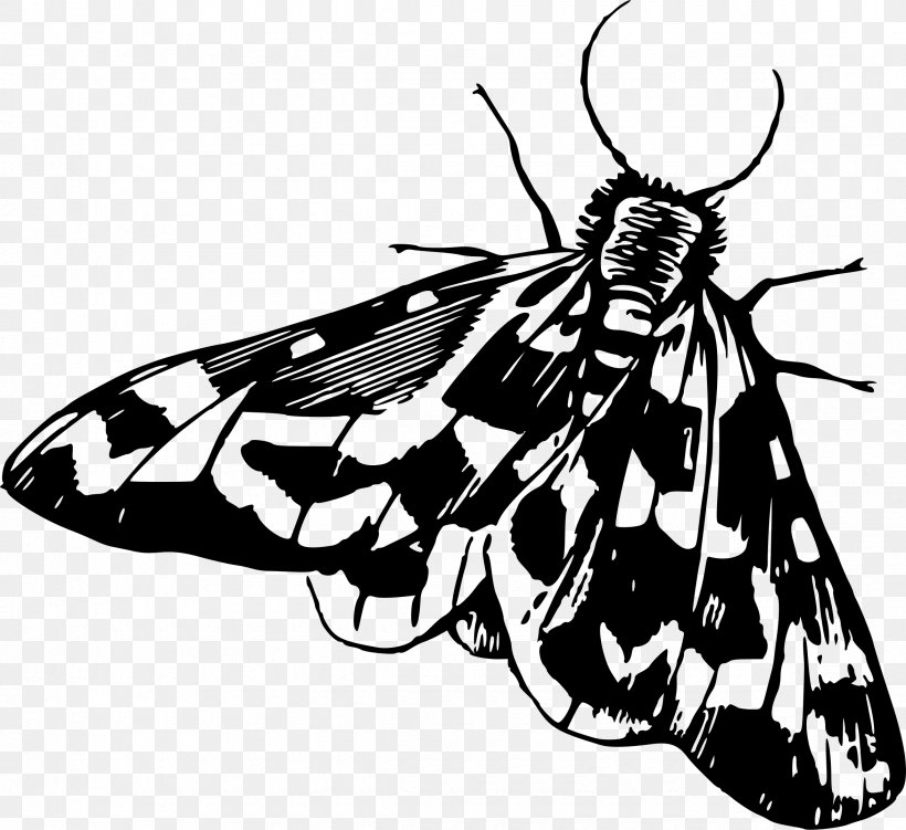 Insect Moth Clip Art, PNG, 2350x2153px, Insect, Art, Arthropod, Atlas Moth, Black And White Download Free