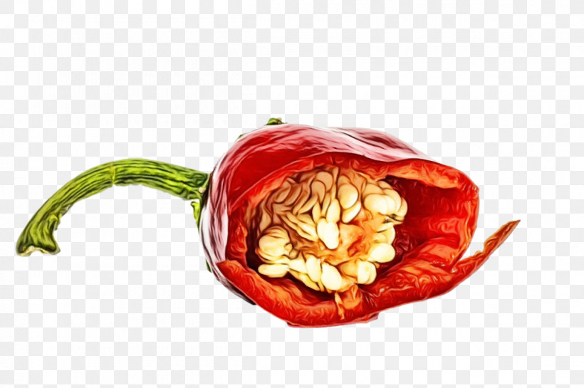 Peppers Peperoncino Cayenne Pepper Natural Food Nightshade, PNG, 1200x798px, Watercolor, Bell Pepper, Cayenne Pepper, Natural Food, Nightshade Download Free
