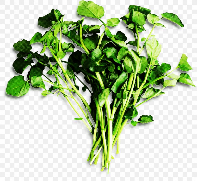 Plant Vegetable Leaf Vegetable Flower Herb, PNG, 1270x1171px, Plant, Arugula, Choy Sum, Flower, Food Download Free