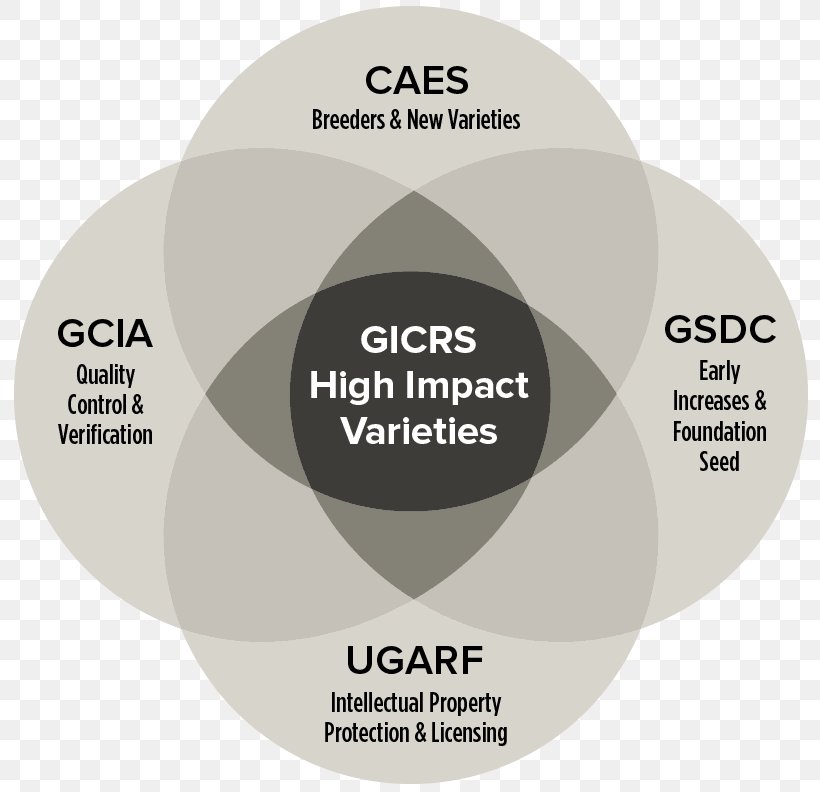 Systems Theory Cultivar Brand, PNG, 800x792px, System, Brand, Chart, Cultivar, Georgia Download Free