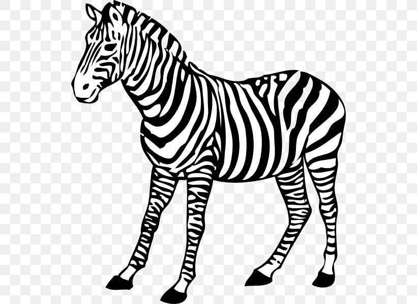 Zebra Drawing Clip Art, PNG, 540x597px, Zebra, Animal Figure, Big Cats, Black And White, Coloring Book Download Free