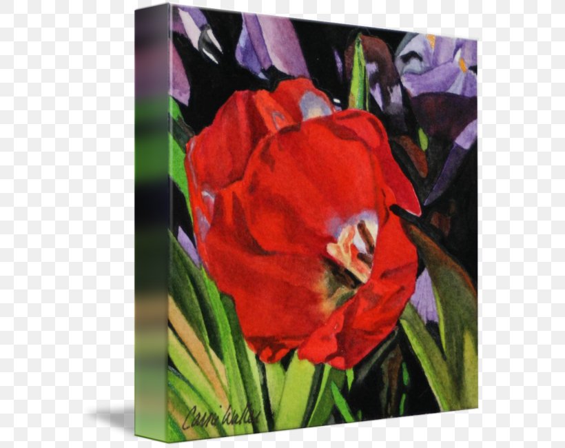 Amaryllis Belladonna Gallery Wrap Acrylic Paint Tulip Canvas, PNG, 582x650px, Amaryllis Belladonna, Acrylic Paint, Acrylic Resin, Amaryllis, Art Download Free