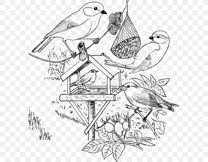 Bird Stichting Landschapsbeheer Flevoland Vogels Voeren Kleurplaat Drawing, PNG, 595x640px, Bird, Art, Artwork, Beak, Black And White Download Free