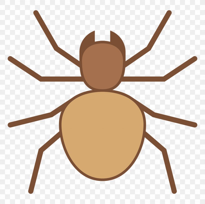 Web Page Clip Art, PNG, 1600x1600px, Web Page, Arachnid, Arthropod, Insect, Invertebrate Download Free