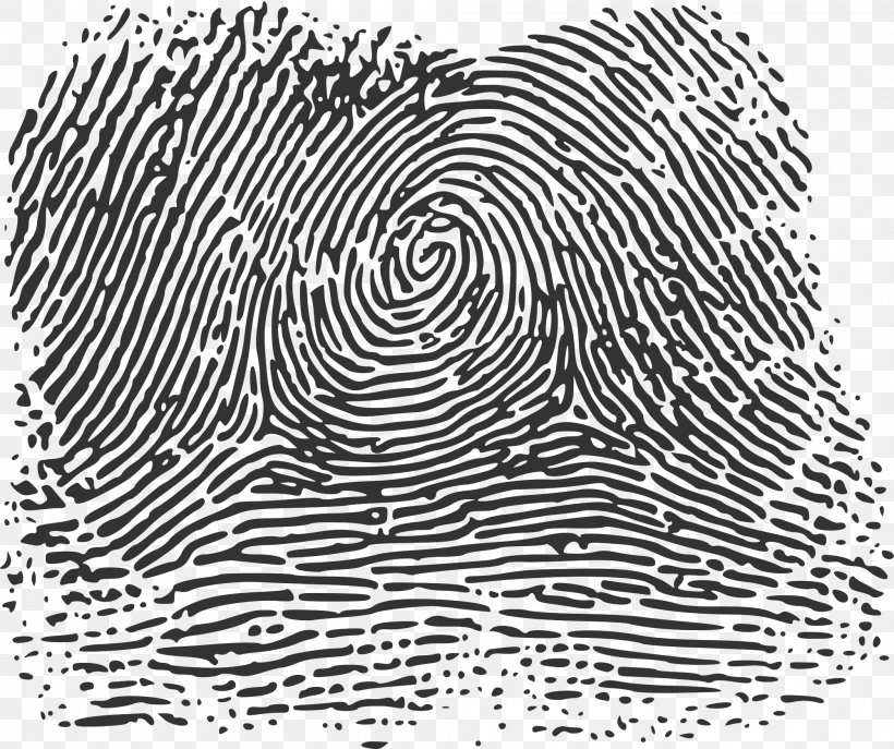 Fingerprint Wikimedia Commons Printing Image Thumb, PNG, 2000x1677px, Fingerprint, Area, Black, Black And White, Copying Download Free