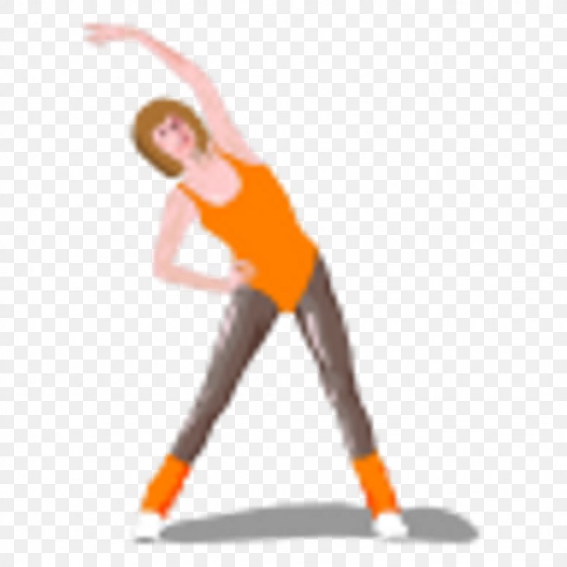 Physical Exercise Physical Fitness Clip Art, PNG, 1024x1024px, Physical Exercise, Aerobics, Arm, Baseball Equipment, Exercise Balls Download Free