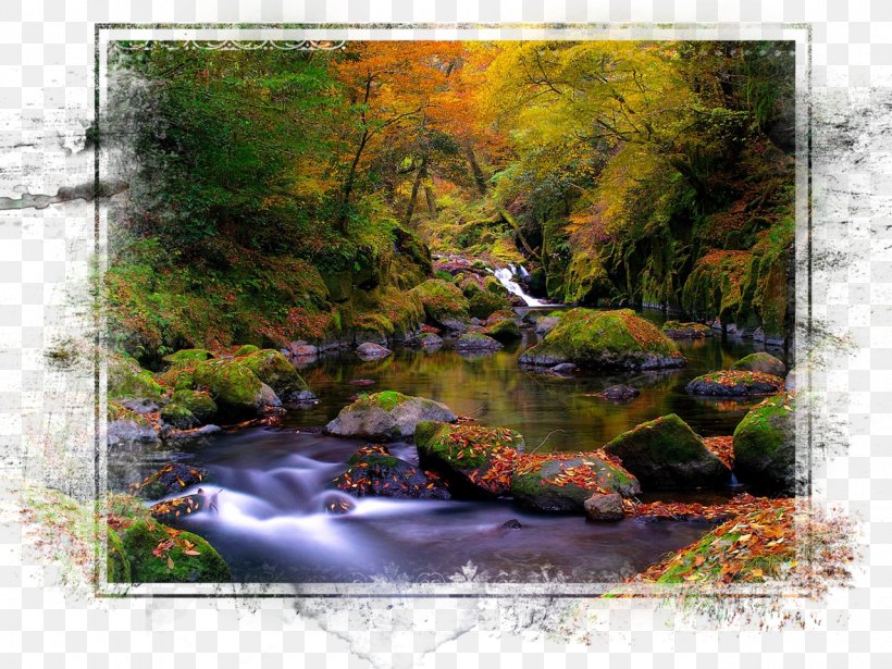 Desktop Wallpaper Landscape Autumn Forest Stream, PNG, 1280x960px, Landscape, Autumn, Autumn Leaf Color, Bank, Biome Download Free