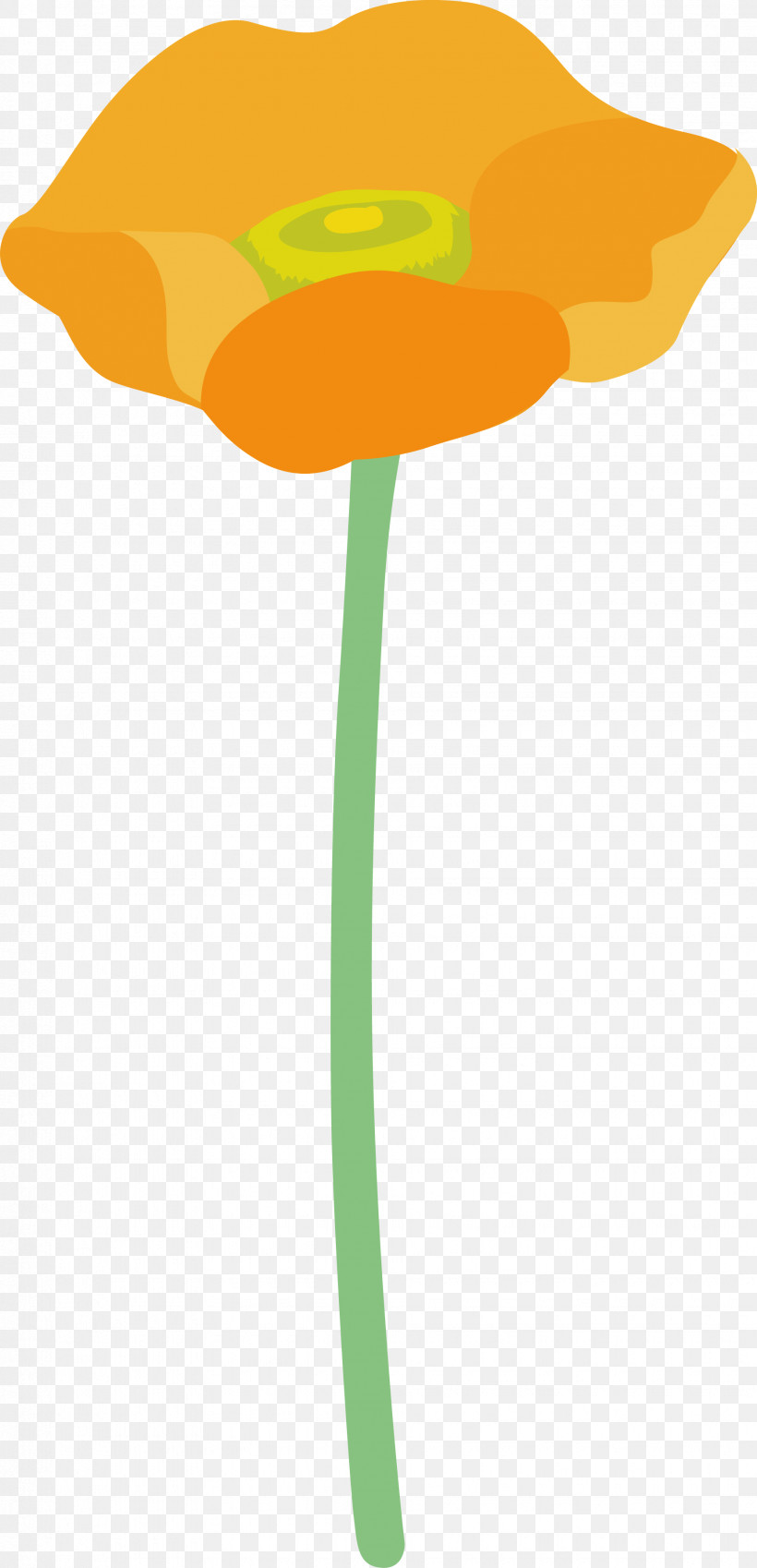 Poppy Flower, PNG, 1850x3833px, Poppy Flower, Flower, Orange, Plant, Plant Stem Download Free
