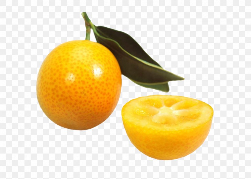 Clementine Tangerine Volkamer Lemon Kumquat, PNG, 1024x729px, Clementine, Bitter Orange, Citric Acid, Citron, Citrus Download Free