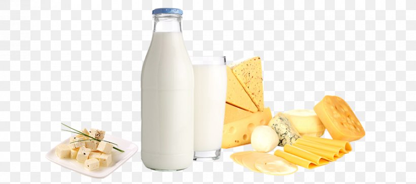 Dairy Products Lactose, PNG, 900x400px, Dairy Products, Comics, Dairy, Drink, Fiction Download Free