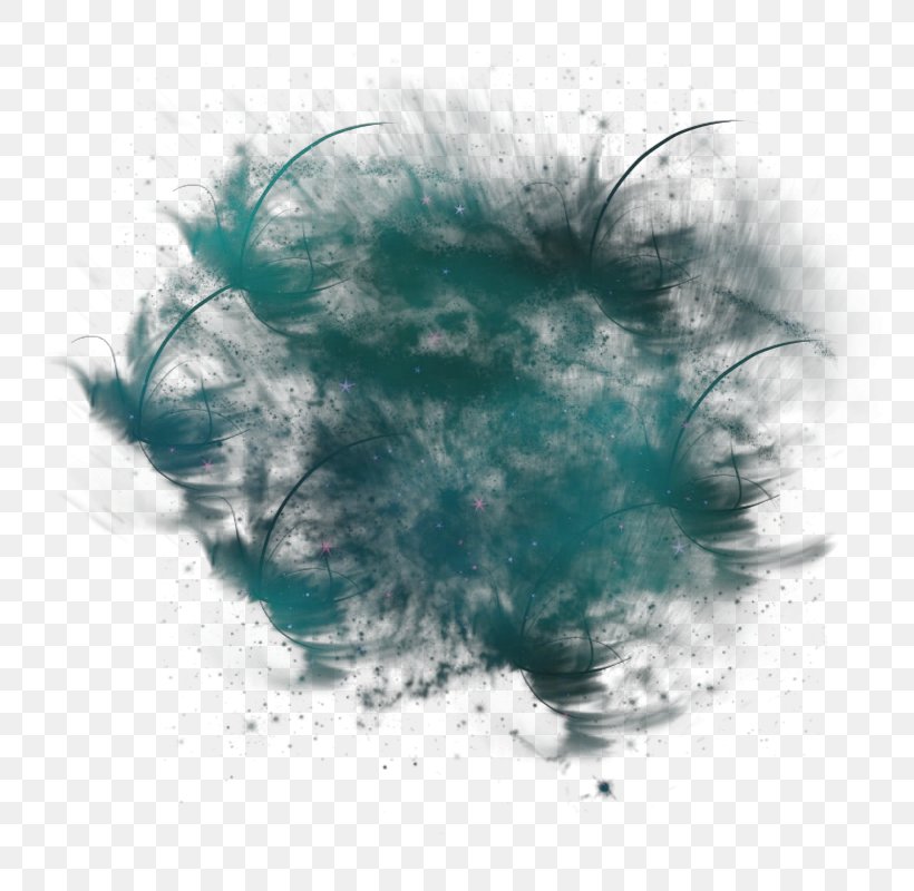 Feather, PNG, 800x800px, Turquoise, Cloud, Feather Download Free