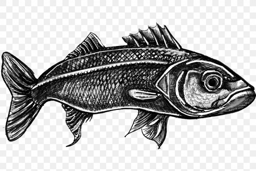 Fish Products Sesimbra Swordfish Black Scabbardfish, PNG, 1024x683px, Fish, Black And White, Black Scabbardfish, Bony Fish, Cod Download Free