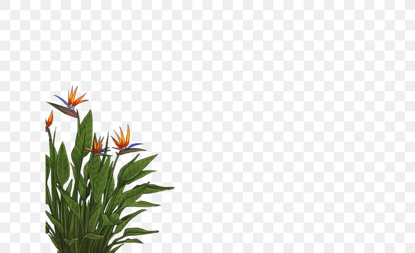 Floral Design Leaf Plant Stem Orange S.A., PNG, 640x500px, Leaf, Daisy, Flora, Floral Design, Flower Download Free