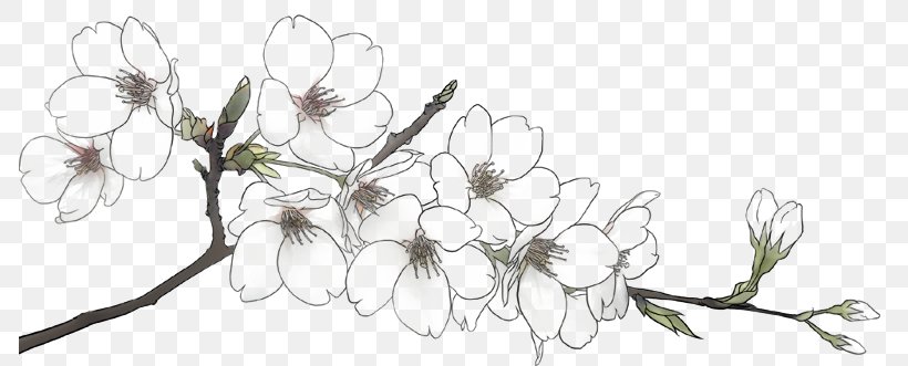 Flower Line, PNG, 786x331px, Flower, Artwork, Black And White, Blossom, Branch Download Free