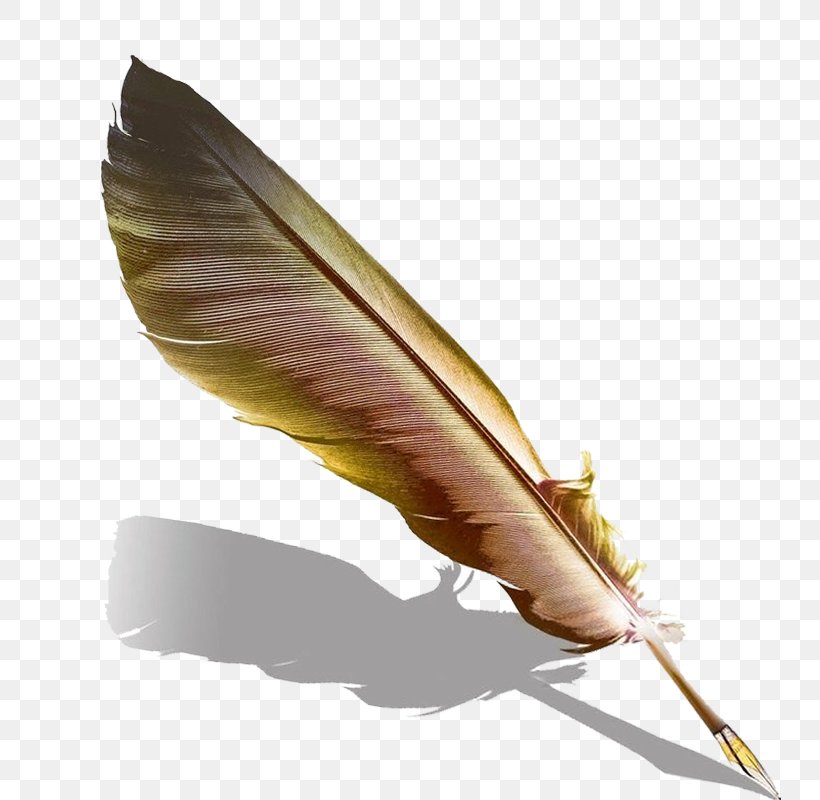 Quill Fountain Pen Feather, PNG, 800x800px, Quill, Android, Android Application Package, Feather, Fountain Pen Download Free