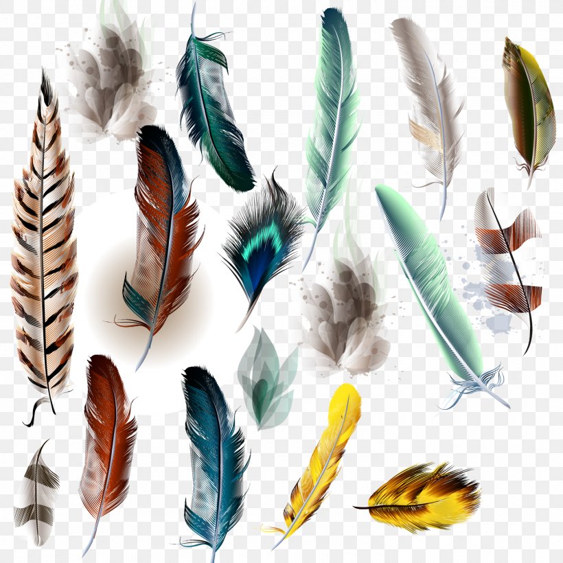 Bird Feather Watercolor Painting Illustration, PNG, 1500x1500px, Bird, Art, Color, Feather, Royaltyfree Download Free