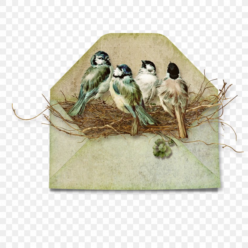 Bird Paper Scrapbooking Envelope Clip Art, PNG, 2362x2362px, Bird, Ansichtkaart, Beak, Bird Nest, Blog Download Free