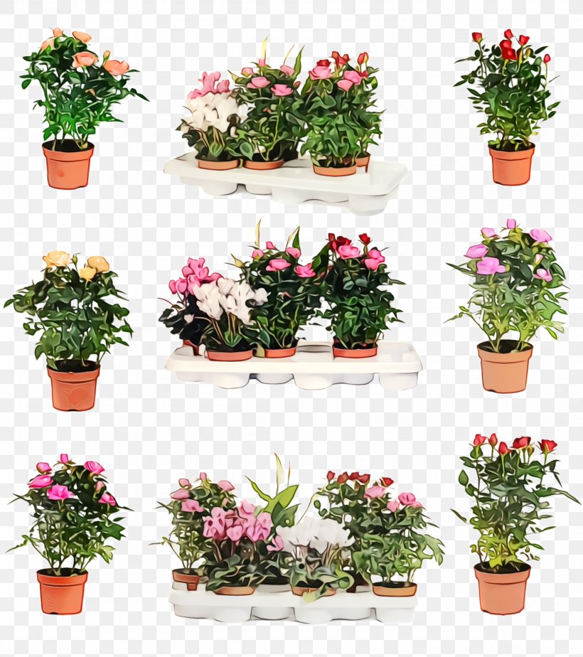 Flower Flowerpot Plant Flowering Plant Houseplant, PNG, 1884x2124px, Watercolor, Annual Plant, Azalea, Flower, Flowering Plant Download Free
