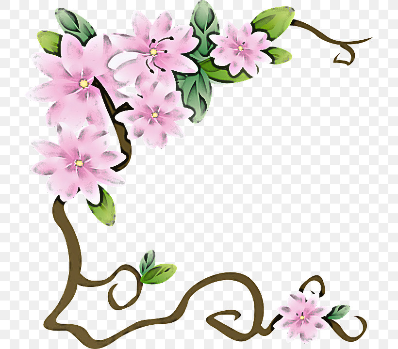 Flower Plant Petal Cut Flowers Blossom, PNG, 718x720px, Flower, Blossom, Cut Flowers, Petal, Plant Download Free