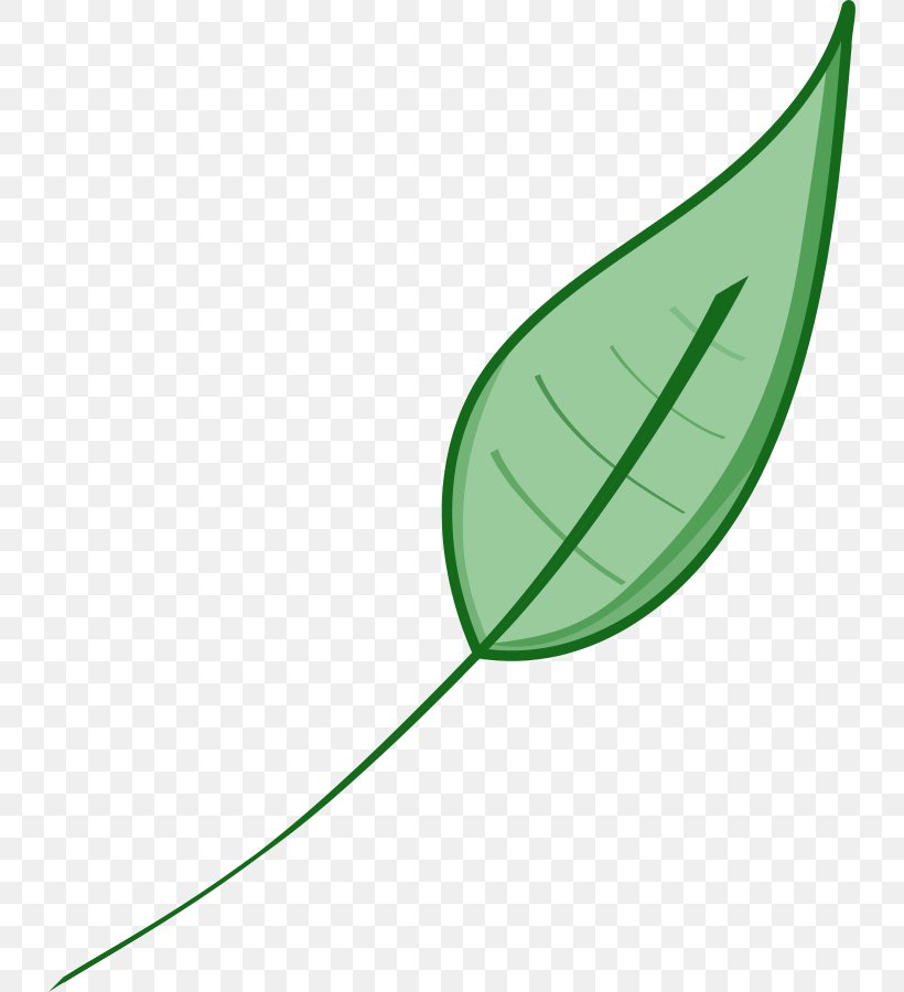 Leaf Green Clip Art, PNG, 732x900px, Leaf, Autumn Leaf Color, Environmentally Friendly, Free Content, Grass Download Free