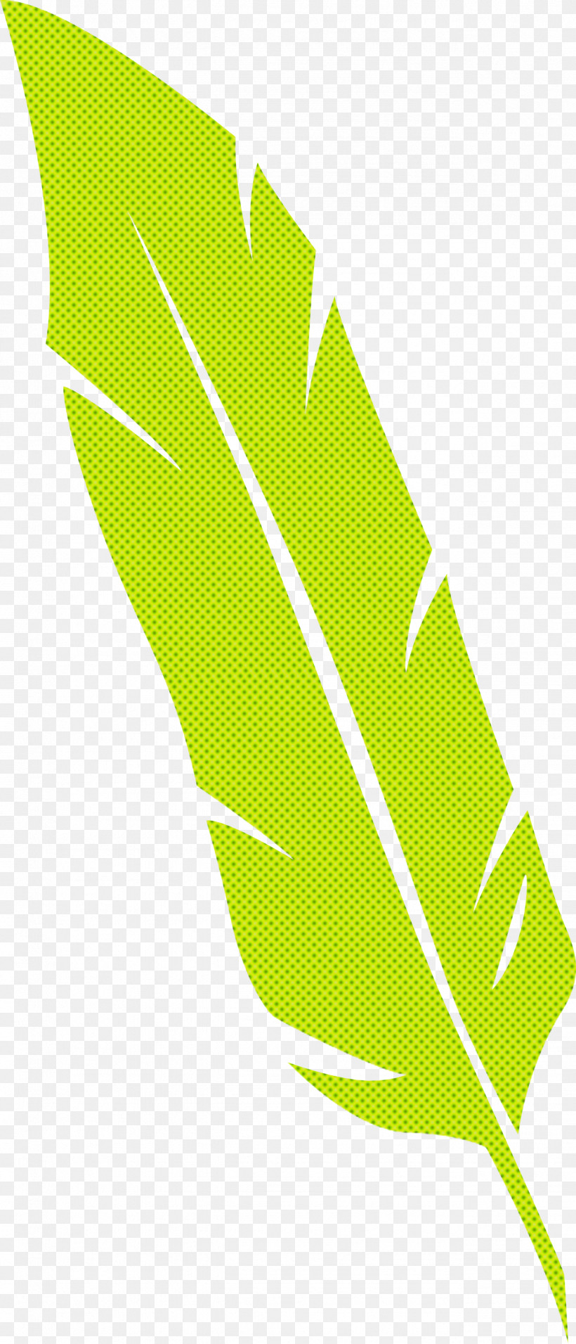 Feather, PNG, 1286x2998px, Feather, Angle, Biology, Drawing, Leaf Download Free